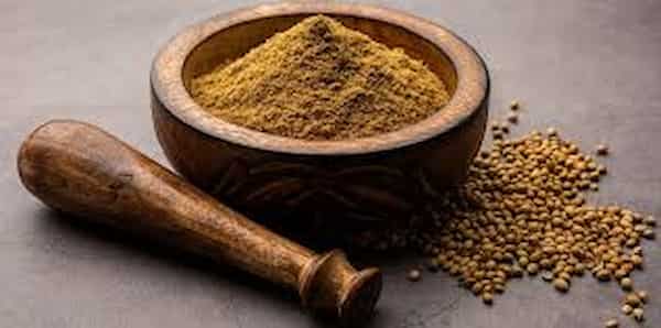 قیمت بذر سبزی گشنیز با کیفیت ارزان + خرید عمده